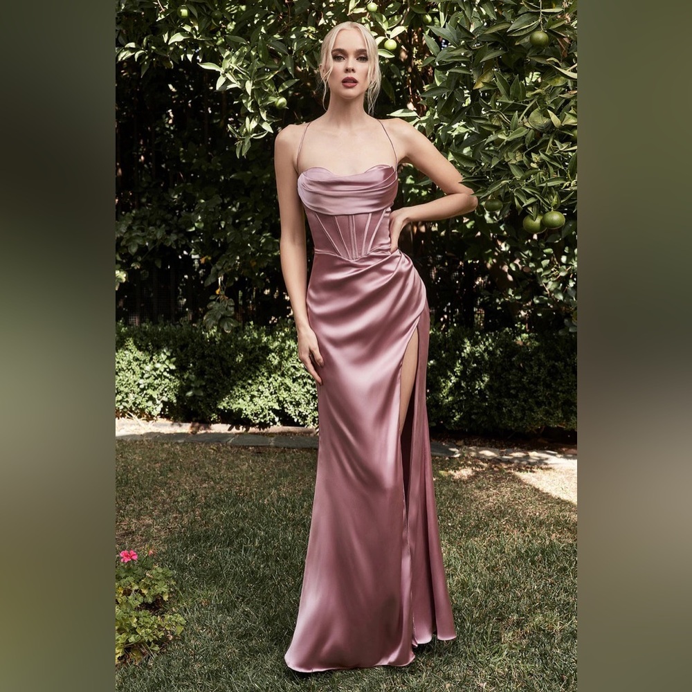 Yvette Gown in Mauve from Lady Black Tie in size 4